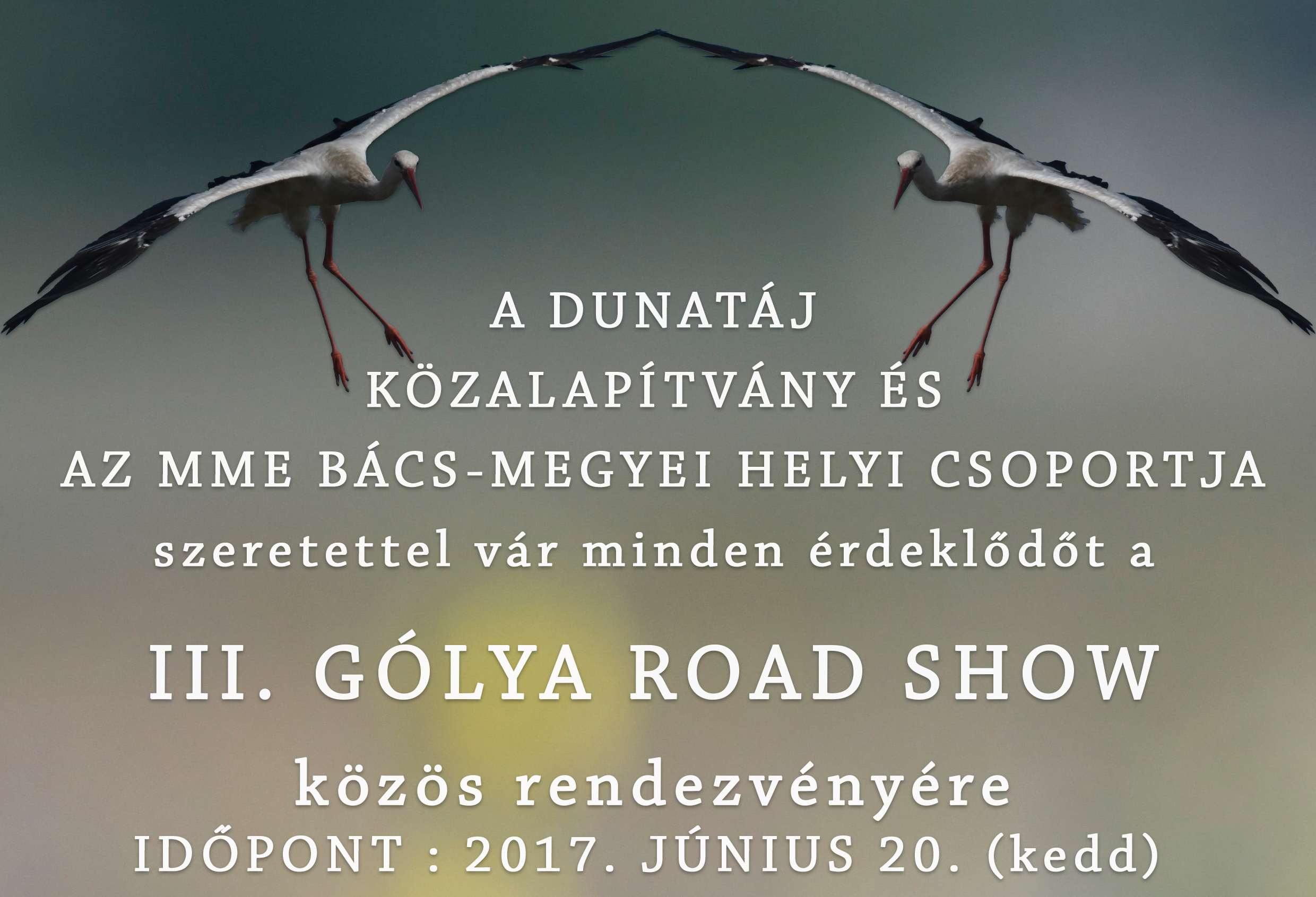 III. Gólya Road Show